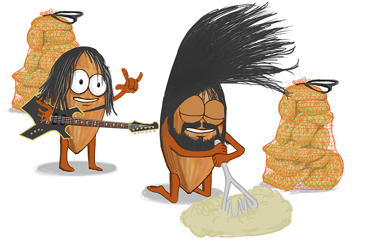 Metal and acid leaves salt and gas 